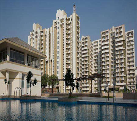 Oasis Gurgaon